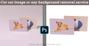 Clipping Path Services the professional digital photo cut-out Services Clipping Path | Deep Etching | Image Cut Out | Background Remove | Transparent background | Bg Remove | EDGES Edit