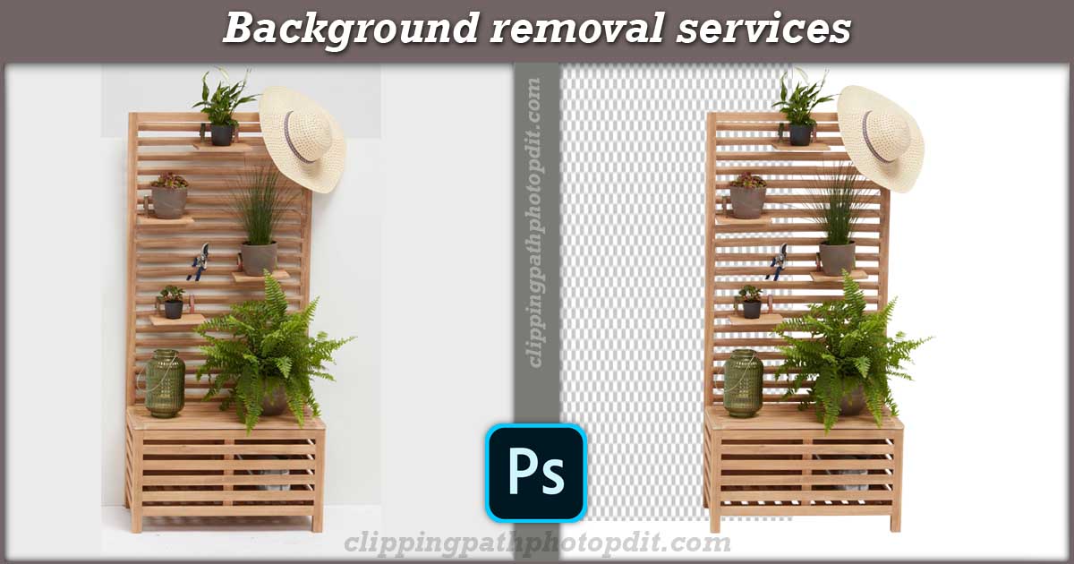 Clipping Path Services the professional digital photo cut-out Services Clipping Path | Deep Etching | Image Cut Out | Background Remove | Transparent background |Bg Remove | EDGES Edit