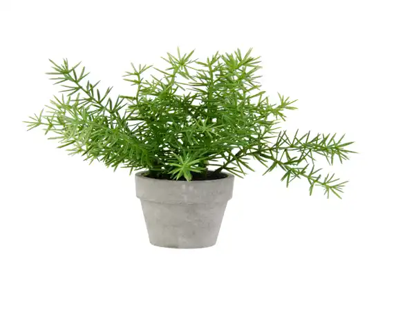 Object-Masking-Tree-background-removal-transprent-png Object Masking I will do vector tracing; vectorize; redraw convert image to vector; I will do photoshop background removal service within 24 hours + adobe image editing + photo retouching + editing & retouching + image retouchinphotoshop retoching + ultimate photos background removal + edit your image in photoshop 12h + professional photoshop job in quick time + photoshop editing fast +; remove background up to 220 images from 4 to 24 hrs + any photoshop editing in 24 hrs + remove or change any; background; professionally + any photoshop editing; professionally +; professionally remove background image with write or transparent + photoshop editing work professionally +; background removal professionally any images quickly; Amazon product photography +; background change + solid steel color + removing + adding people +; objects + effects +; background adjusting color + photo; retouching + facial; retouching + body; retouching + slim body / muscle enhancement +; portrait; retouching +; profile photo + makeup editing + fashion beauty photo editing + amazon / ebay products editing + social media covers + color correction + merge photos + advanced facial + skin; retouching + softering + removing wrinkles & blemishes + change eyes color + product; retouching + digital enhancing + skin smoothing + photoshop editing + enhancement + white; background + png image; + jpeg image + background remover image; + background changing +; changing background + text + html + remove background image or products + family photography + background color + color background + freelance photoshop + freelance image + editing image + editing photo + photo editing + g + retouching services + photoshop retouching + musking + image color correction + photo color correction + image shadow + photo shadow + image musking + picture + photo musking + remodel photo background + beauty + photo manipulation + manipulation + image manipulation + jpg file + clipping-multi path + visiting +; image clipping-multi path + photo clipping-multi path + image size reduce + image cropping + adding objects background +; natural shadow clipping path + retouch + image resizing + retouching with realistic perfect skin + fashion correction + whitening teeth + body shaping + adjusting posture + enhancing + adjusting color + lightening contrast +; photo manipulation + professionally; editing +; retoching + image enhancing background removing + background changing + background removal + transparent background + png + jpeg + image resizing + product photography + photoshop editing + image editing + image to vector + vector illustration + image to vector + cut out images + cut out photo + photography + photography logo + amazon photography + product photography backdrop + remove background + remove background 20 photos + backgroundadd + transparent background + background remove + background beats + background add + image editing + image to vector + cut out images + stock images + powerpoint image editing; #vector #vector traching #vector_conversion #fiverr #upwork #free #sex #good #Sample #Vector_sample #vector tracing #vector_art #vector_portrait #vector_logo #image_to_vector #vector_illustration #vector_face #png_to_vector #flat_vector_illustration #image_to_vector #convert_to_vector #raster_to_vector #vector_tracing #vector_trace #vector_logo #vector_art #vector_tracing #raster_to_vector #image_to_vector #manual_vector_tracing #convert_to_vector #vector_art #vector_logo #vector_art_work #youtube_banner #video #twitter; #background_removal #remove_background #background_art #white_background #background_design #photo_background_removal #change_background #background_removal #photo_background_removal #white_background #change_background #cut_out_background #image_background_removal #clipping_path #remove_background #object_remove #background_removal #remove_people #remove_person_background #remove_image #background removal #object_removal #photo_background_removal #remove_background #photoshop_editing #background #malware_removal #background_removal #white_background #remove_background #photo_background_removal #cut_out_background #image_background_removal #photo_editing #clipping_path_service #background_removal #white_background #cut_out images #cut_out #cut_out_background #change_background #nft #png #pdf #jpg_to_word #nft_art #background_removal #transparent #hair_masking #image_masking #background_removal #neck_joint #clipping_path #shadow #rotoscoping; #drop_shadow #natural_shadow #reflection_shadow #background_removal #clipping_path #color_change #white_background #background_removal #product_photo_editing; #jewelry_retouch #amazon_product_editing #cut_out_images #clipping_path #retouch_photo #beauty_retouch #skin_retouch #portrait_retouch #headshot_retouch #jewelry_retouch #product_retouch #skin_retouch #portrait_retouch #headshot_retouch #retouch_photo #beauty_retouching #skin_retouching #photo_retouching; #color_change #color_grading #photo_color_change #color_changing #color_gradere #color #photo_editing #color_correction #color_changing #color_grading #photo_editing #recolor #photo_retouching #color_grade; #amazon_product_editing #product_image_editing #product_photo_retouching #photoshop_editing #background_removal #wedding_photo_editing #image_editing; #undertale #photoshop_editing #wedding_photo_editing #video_editing #product_photo_editing #photo_retouching #lightroom_editing; #photoshop_editing #adobe_photoshop #photo_editing #photoshop_background #photoshop_work #photoshop_retouching #photoshop_design #photo_editing #image_editing #photoshop_retouching #photoshop_work #adobe_photoshop #background_removal #photo_retouching; #Fiverr #Upwork #Google #Linkin #SEO #Path #photoedit #rmove #towhidul_ #Freeluncer #Kwork #backlink #sexphoto #best_sample #youtube #work #free_photo_edit; I will do 100 photos background removal in 24 hours.; I will remove background 25 images with white or transparent; I will do professional photo editing and background removal in; I will resize bulk images retouch and background remove; I will do 100 photos background removal; I will remove or replace background from photos; I will background removal 20 images 3 hr quickly delivery; I will do 50 to 500 photos background removal and crop image; I will background removal or cut out images professionally; I will do background removal clipping path photoshop editing.; I will do 100 images background removal and fast delivery; I will professionally remove green screen background from photos; I will do car photo editing and automotive image background; I will do editing and background removal for amazon; ebay product; I will cut out images or remove background removal; I will do photoshop image editing and photo background removal; I will remove background from image; I will do background removal 200 photos professionally; I will do 100 images background removal within 24 hours; I will professionally remove green screen background in photoshop; I will remove background image professionally; I will do background removal; clipping path; and photoshop editing; I will design amazon ebay etc product; background remove for; I will do photo retouching and background removal in photoshop; I will do photoshop edits; face swap; remove background; image; I will photo edit; background remove; I will do quickly any background removal; product retouching; photo; I will remove background noise or do noise reduction; I will do remove background 100 photos; I will cut out images; cut out background 200 image; remove fast; I will remove green screen and replace background in video or; I will do photoshop background remove; remove images; transparent; I will remove any object and people from images background 24 hours; I will provide an excellent photo background removal service in a day; I will photo background removal cut out image within 24 hours; I will remove or change background of 10 pictures; I will best background removal or cut out images service in photoshop; I will do green screen background removing from photos 24 hours; I will do green screen background removing from photos 24 hours; I will cut out transparent and white background removal 20 images; I will do any 100 background removal or photoshop editing for you; I will repair your audio file and remove the background noise; pops; I will photo background removal; cut out images; remove object; clipping; I will car photo image editing and automotive car background remove; I will 20 images background removal 2 hr and fast delivery; I will remove background of photos with white or black; and add or; I will background remove; white; delete; logo transparent; cut out; I will do bulk photos background removal and web optimize; I will vector tracing in 1 to 2 hours.; I will do vector tracing in 2 hours.; I will perfectly trace logo or image in vector.; I will do vector tracing; line art tracing and redraw logo.; I will do vector tracing or redraw any image.; I will do vector tracing; vectorize; redraw convert image to vector.; I will vector tracing logo; vectorize image; convert to vector.; I will perfectly trace logo or image in vector.; I will do vector tracing or redraw any image.; I will do vector trace or recreate any logo or image within 2 hrs.; I will vector trace any logo or image in 90 minutes professionally.; I will high quality vector tracing restore image high resolution.; I will do vector tracing; vectorize image; convert logo to vector.; I will do vector art; tracing; illustration; and vectorize anything.; I will redraw; vector trace; or recreate your logo or image .; I will vector trace; vectorize; redraw logo convert image to vector.; I will vector trace; vectorise logo or convert image to vectors.; I will do vector tracing; cleanup; vectorize logo; image to vector.; I will vector tracing in 1 to 2 hours.; I will vector trace or redraw your logo or any graphic in vector.; I will vectorize; redraw; trace; recreate your logo or image.; I will convert drawing into digital art; vector tracing logo and image.; I will do vector tracing; line art tracing; and redraw logo.; I will do manual vector tracing; convert logo or text to vector.; I will do manual vector tracing for any image by adobe illustrator.; I will vector tracing; trace; redraw; convert logo to vector.; I will do vector tracing and convert your logo or sketch to vector.; I will convert logo to vector; redraw; vectorize image; do vector tracing.; I will do vector tracing to turn drawing png and jpeg into vector.; I will do vector tracing; redesign logo to ai; eps; svg; png; pdf.; I will do vector tracing convert your logo or sketch to digital art.; I will do vector tracing and redraw any image or logo.; I will convert to vector and vector trace any logo in svg; ai; pdf; cdr.; I will convert image into vector illustration; draw sketch to digital .; I will do vector tracing from sketch; photo; logo or illustration.; I will vector trace anything within 2 hours.; I will vector trace anything within 2 hours.; I will do professional portrait retouching business photo editing.; I will do natural looking portrait retouching and photo editing.; I will do high end jewelry photos retouch looking 3d quality.; I will do natural retouch photo; edit image.; I will do high end magazine quality photo editing and retouching.; I will do beauty photo retouching; makeup skin retouch in photoshop.; I will do professional photo retouch.; I will do high end photo retouching and photo editing.; I will do any photoshop editing and photo retouching in 4 hours.; I will do natural newborn baby retouch and photo edit.; I will retouch and edit your image manipulations and photo .; I will photoshop edit and high end photo retouching.; I will do any photoshop image editing; retouching; manipulation.; I will do fantasy adobe photoshop editing and retouching.; I will do best quality high end retouch your photo.; I will retouch and edit your premium product imagery in photoshop.; I will do high end beauty retouching and advanced retouching.; I will edit or retouch your photo.; I will do ecommerce product photo editing and retouching.; I will edit and retouch your favorite photos.; I will retouch and color correct real estate photos.; I will retouch and colorize your old black and white photos.; I will edit; retouch; or enhance your photos in photoshop.; I will do high end skin; face; portrait and beauty photo image retouching.; I will do professional high end photo retouch.; I will do high end photo retouching and editing.; I will professionally retouch your photos.; I will product photo retouching and editing.; I will perform high end retouching on your photos.; I will do professional portrait retouching business photo beautify.; I will retouch hair and hairdo.; I will product editing; product retouching or any picture editing for .; I will do ghost mannequin or dummy retouch service appropriately.; I will do high end beauty; fashion; portrait retouching.; I will do any photoshop editing retouching photo edit 1 hour.; I will retouching; decluttering photo real estate.; I will do any kinds of photoshop editing and retouching.; I will do body; face slimming; remove double chin and beauty retouch.; I will do bulk images editing resizing and retouch in photoshop.; I will do any photoshop editing and high end retouching for you.; I will do photoshop jewelry image retouching best quality.; I will edit and retouch any product image for amazon or ebay.; I will retouch your photos; skin and color.; I will do professionally high end photo retouching.; I will photoshop editing photo retouching photo editing.; I will retouching; editing; photoshop manipulation for you image.; I will photo retouching for engraving headstone tombstones; tiles.; I will do cinematic color grading and color correction.; I will do color correction; color grading of your video.; I will do professional color correction and color grading in.; I will do color correction and grading to make your video stand.; I will do professional video color grading and color correction.; I will professionally color correct and color grade your film.; I will do professional video color grading and color correction.; I will change color of object product and logo colour replacement.; I will edit redesign redraw color change or fix your logo.; I will professionally change your house color exterior paint rendering.; I will change any color in your images.; I will change color of anything in photoshop fast.; I will perfect pattern add and color change for your clothing editing .; I will change house or wall color; facade paint modernise home.; I will edit logo; redraw; modify; text; color change within 24hrs.; I will change house or wall color; facade paint modernise house.; I will do color change one color to another color image.; I will do color change of anything in using photoshop.; I will do photo hair edit; add hair; change hairstyle; change color.; I will professionally change wall color house exterior repaint.; I will change Color Of Anything In Photoshop.; I will color change of anything very fast in photoshop.; I will professionally photoshop and change your cars color.; I will change color of anything including clothes apparel jewellery.; I will change color of photo; logo; product recolor; and correction.; I will change product color and skin tone in photoshop 24hr.; I will change image background; crop images; color correction etc.; I will color correction and change color for your product photo.; I will color change and color correction from your product photos.; I will color change; convert logo to black and white color.; I will do color change; correction; replace any product; image; logo.; I will remodel house interior; change room color.; I will change the color of any photo or product to any color.; I will color changing of any images in photoshop.; I will change image background and color change.; I will change color of anything in photoshop.; I will change product color or color of anything else in photoshop.; I will change color of a product.; I will do photo retouching; photoshop editing; skin retouch.; I will remove background; change color and edit product pictures.; I will change logo color; font; resolution; raster image to vector.; I will change font; color; text; css of wordpress website.; I will do house exterior remodel change wall color.; I will change color of anything in photoshop super fast delivery.; I will change color of image; product photo; logo; recolor anything.; I will do house renovation; remodel or change wall color.; I will change color of anything with your suggested color.; I will perfectly change house; wall; cabinet; and facade color.; I will do photo color correction; color change in photoshop.; I will change color of anything in photoshop.; I will change color of anything in photoshop within 2hrs.; I will do color correction and pattern change of your photo.; I will professionally change color material edit exterior interior house.; I will change house color; wall or house interior exterior color.; I will change logo image color; font; resolution; size; background.; I will 46 deep probing shadow work journaling prompts.; I will do product photo; image editing; reflection; shadow for.; I will do white background with natural shadow.; I will provide background removal and create reflection shadow.; I will do reflection or natural shadow of products photos.; I will remove harsh shadows and highlights in photoshop.; I will do remove background with creating shadow from vehicle or car.; I will images with white background with shadow for amazon; ebay.; I will do car photo edit cutout images and drop shadow.; I will remove background add a natural drop shadow under a vehicle.; I will background removal and create natural drop shadow or reflection.; I will do deep etch background remove; shadow and retouching.; I will automotive; vehicle; car photos reflection shadow.; I will edit dealer images; automotive background remove; car reflection.; I will do object remove add drop shadow 5 images.; I will do furniture retouching and shadow.; I will do background remove; color change; shadow effects.; I will remove background and add shadow or reflection; retouching on.; I will make white background with natural shadow effect.; I will drop shadow; photo mask; image masking; clipping path; png.; I will do cut out; ghost mannequin; color adjust; shadow or retouch.; I will cut out background removal clipping path and shadow.; I will change background resize recolor edit shadow reflection and.; I will remove background or shadow from face asap.; I will reflection or natural shadow of images.; I will do background removed; create shadow reflection from a.; I will make t shirt transparent color change; with lights; shadows.; I will do photoshop shadow creation services like drop; natural; and.; I will do furniture photo edit cut out with shadow.; I will do photos background remove; reflection shadow.; I will do image background remove; edit; transparent; change; hair.; I will do background removal clipping path and shadow.; I will do fast and accurate background removal with shadow.; I will professional face shadow remove and fix background shadow.; I will do car image editing; automotive car background replace.; I will sketch your ideas using light and shadow.; I will do create drop shadow and any photoshop editing.; I will remove background and add a shadow or reflection of 5 images.; I will read your shadow side with a shadow tarot deck.; I will draw shadows and dark figures.; I will clean background and image cutout and create natural shadow.; I will ecommerce product; shadow; isolate images from the.; I will create solar analysis and shadow studies.; I will create lyric videos like 7clouds; unique vibes; shadow music.