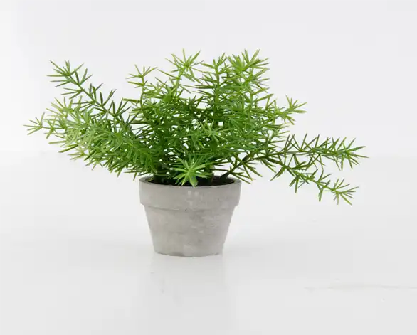 Object-Masking-Tree-background-removal Object Masking I will do vector tracing; vectorize; redraw convert image to vector; I will do photoshop background removal service within 24 hours + adobe image editing + photo retouching + editing & retouching + image retouchinphotoshop retoching + ultimate photos background removal + edit your image in photoshop 12h + professional photoshop job in quick time + photoshop editing fast +; remove background up to 220 images from 4 to 24 hrs + any photoshop editing in 24 hrs + remove or change any; background; professionally + any photoshop editing; professionally +; professionally remove background image with write or transparent + photoshop editing work professionally +; background removal professionally any images quickly; Amazon product photography +; background change + solid steel color + removing + adding people +; objects + effects +; background adjusting color + photo; retouching + facial; retouching + body; retouching + slim body / muscle enhancement +; portrait; retouching +; profile photo + makeup editing + fashion beauty photo editing + amazon / ebay products editing + social media covers + color correction + merge photos + advanced facial + skin; retouching + softering + removing wrinkles & blemishes + change eyes color + product; retouching + digital enhancing + skin smoothing + photoshop editing + enhancement + white; background + png image; + jpeg image + background remover image; + background changing +; changing background + text + html + remove background image or products + family photography + background color + color background + freelance photoshop + freelance image + editing image + editing photo + photo editing + g + retouching services + photoshop retouching + musking + image color correction + photo color correction + image shadow + photo shadow + image musking + picture + photo musking + remodel photo background + beauty + photo manipulation + manipulation + image manipulation + jpg file + clipping-multi path + visiting +; image clipping-multi path + photo clipping-multi path + image size reduce + image cropping + adding objects background +; natural shadow clipping path + retouch + image resizing + retouching with realistic perfect skin + fashion correction + whitening teeth + body shaping + adjusting posture + enhancing + adjusting color + lightening contrast +; photo manipulation + professionally; editing +; retoching + image enhancing background removing + background changing + background removal + transparent background + png + jpeg + image resizing + product photography + photoshop editing + image editing + image to vector + vector illustration + image to vector + cut out images + cut out photo + photography + photography logo + amazon photography + product photography backdrop + remove background + remove background 20 photos + backgroundadd + transparent background + background remove + background beats + background add + image editing + image to vector + cut out images + stock images + powerpoint image editing; #vector #vector traching #vector_conversion #fiverr #upwork #free #sex #good #Sample #Vector_sample #vector tracing #vector_art #vector_portrait #vector_logo #image_to_vector #vector_illustration #vector_face #png_to_vector #flat_vector_illustration #image_to_vector #convert_to_vector #raster_to_vector #vector_tracing #vector_trace #vector_logo #vector_art #vector_tracing #raster_to_vector #image_to_vector #manual_vector_tracing #convert_to_vector #vector_art #vector_logo #vector_art_work #youtube_banner #video #twitter; #background_removal #remove_background #background_art #white_background #background_design #photo_background_removal #change_background #background_removal #photo_background_removal #white_background #change_background #cut_out_background #image_background_removal #clipping_path #remove_background #object_remove #background_removal #remove_people #remove_person_background #remove_image #background removal #object_removal #photo_background_removal #remove_background #photoshop_editing #background #malware_removal #background_removal #white_background #remove_background #photo_background_removal #cut_out_background #image_background_removal #photo_editing #clipping_path_service #background_removal #white_background #cut_out images #cut_out #cut_out_background #change_background #nft #png #pdf #jpg_to_word #nft_art #background_removal #transparent #hair_masking #image_masking #background_removal #neck_joint #clipping_path #shadow #rotoscoping; #drop_shadow #natural_shadow #reflection_shadow #background_removal #clipping_path #color_change #white_background #background_removal #product_photo_editing; #jewelry_retouch #amazon_product_editing #cut_out_images #clipping_path #retouch_photo #beauty_retouch #skin_retouch #portrait_retouch #headshot_retouch #jewelry_retouch #product_retouch #skin_retouch #portrait_retouch #headshot_retouch #retouch_photo #beauty_retouching #skin_retouching #photo_retouching; #color_change #color_grading #photo_color_change #color_changing #color_gradere #color #photo_editing #color_correction #color_changing #color_grading #photo_editing #recolor #photo_retouching #color_grade; #amazon_product_editing #product_image_editing #product_photo_retouching #photoshop_editing #background_removal #wedding_photo_editing #image_editing; #undertale #photoshop_editing #wedding_photo_editing #video_editing #product_photo_editing #photo_retouching #lightroom_editing; #photoshop_editing #adobe_photoshop #photo_editing #photoshop_background #photoshop_work #photoshop_retouching #photoshop_design #photo_editing #image_editing #photoshop_retouching #photoshop_work #adobe_photoshop #background_removal #photo_retouching; #Fiverr #Upwork #Google #Linkin #SEO #Path #photoedit #rmove #towhidul_ #Freeluncer #Kwork #backlink #sexphoto #best_sample #youtube #work #free_photo_edit; I will do 100 photos background removal in 24 hours.; I will remove background 25 images with white or transparent; I will do professional photo editing and background removal in; I will resize bulk images retouch and background remove; I will do 100 photos background removal; I will remove or replace background from photos; I will background removal 20 images 3 hr quickly delivery; I will do 50 to 500 photos background removal and crop image; I will background removal or cut out images professionally; I will do background removal clipping path photoshop editing.; I will do 100 images background removal and fast delivery; I will professionally remove green screen background from photos; I will do car photo editing and automotive image background; I will do editing and background removal for amazon; ebay product; I will cut out images or remove background removal; I will do photoshop image editing and photo background removal; I will remove background from image; I will do background removal 200 photos professionally; I will do 100 images background removal within 24 hours; I will professionally remove green screen background in photoshop; I will remove background image professionally; I will do background removal; clipping path; and photoshop editing; I will design amazon ebay etc product; background remove for; I will do photo retouching and background removal in photoshop; I will do photoshop edits; face swap; remove background; image; I will photo edit; background remove; I will do quickly any background removal; product retouching; photo; I will remove background noise or do noise reduction; I will do remove background 100 photos; I will cut out images; cut out background 200 image; remove fast; I will remove green screen and replace background in video or; I will do photoshop background remove; remove images; transparent; I will remove any object and people from images background 24 hours; I will provide an excellent photo background removal service in a day; I will photo background removal cut out image within 24 hours; I will remove or change background of 10 pictures; I will best background removal or cut out images service in photoshop; I will do green screen background removing from photos 24 hours; I will do green screen background removing from photos 24 hours; I will cut out transparent and white background removal 20 images; I will do any 100 background removal or photoshop editing for you; I will repair your audio file and remove the background noise; pops; I will photo background removal; cut out images; remove object; clipping; I will car photo image editing and automotive car background remove; I will 20 images background removal 2 hr and fast delivery; I will remove background of photos with white or black; and add or; I will background remove; white; delete; logo transparent; cut out; I will do bulk photos background removal and web optimize; I will vector tracing in 1 to 2 hours.; I will do vector tracing in 2 hours.; I will perfectly trace logo or image in vector.; I will do vector tracing; line art tracing and redraw logo.; I will do vector tracing or redraw any image.; I will do vector tracing; vectorize; redraw convert image to vector.; I will vector tracing logo; vectorize image; convert to vector.; I will perfectly trace logo or image in vector.; I will do vector tracing or redraw any image.; I will do vector trace or recreate any logo or image within 2 hrs.; I will vector trace any logo or image in 90 minutes professionally.; I will high quality vector tracing restore image high resolution.; I will do vector tracing; vectorize image; convert logo to vector.; I will do vector art; tracing; illustration; and vectorize anything.; I will redraw; vector trace; or recreate your logo or image .; I will vector trace; vectorize; redraw logo convert image to vector.; I will vector trace; vectorise logo or convert image to vectors.; I will do vector tracing; cleanup; vectorize logo; image to vector.; I will vector tracing in 1 to 2 hours.; I will vector trace or redraw your logo or any graphic in vector.; I will vectorize; redraw; trace; recreate your logo or image.; I will convert drawing into digital art; vector tracing logo and image.; I will do vector tracing; line art tracing; and redraw logo.; I will do manual vector tracing; convert logo or text to vector.; I will do manual vector tracing for any image by adobe illustrator.; I will vector tracing; trace; redraw; convert logo to vector.; I will do vector tracing and convert your logo or sketch to vector.; I will convert logo to vector; redraw; vectorize image; do vector tracing.; I will do vector tracing to turn drawing png and jpeg into vector.; I will do vector tracing; redesign logo to ai; eps; svg; png; pdf.; I will do vector tracing convert your logo or sketch to digital art.; I will do vector tracing and redraw any image or logo.; I will convert to vector and vector trace any logo in svg; ai; pdf; cdr.; I will convert image into vector illustration; draw sketch to digital .; I will do vector tracing from sketch; photo; logo or illustration.; I will vector trace anything within 2 hours.; I will vector trace anything within 2 hours.; I will do professional portrait retouching business photo editing.; I will do natural looking portrait retouching and photo editing.; I will do high end jewelry photos retouch looking 3d quality.; I will do natural retouch photo; edit image.; I will do high end magazine quality photo editing and retouching.; I will do beauty photo retouching; makeup skin retouch in photoshop.; I will do professional photo retouch.; I will do high end photo retouching and photo editing.; I will do any photoshop editing and photo retouching in 4 hours.; I will do natural newborn baby retouch and photo edit.; I will retouch and edit your image manipulations and photo .; I will photoshop edit and high end photo retouching.; I will do any photoshop image editing; retouching; manipulation.; I will do fantasy adobe photoshop editing and retouching.; I will do best quality high end retouch your photo.; I will retouch and edit your premium product imagery in photoshop.; I will do high end beauty retouching and advanced retouching.; I will edit or retouch your photo.; I will do ecommerce product photo editing and retouching.; I will edit and retouch your favorite photos.; I will retouch and color correct real estate photos.; I will retouch and colorize your old black and white photos.; I will edit; retouch; or enhance your photos in photoshop.; I will do high end skin; face; portrait and beauty photo image retouching.; I will do professional high end photo retouch.; I will do high end photo retouching and editing.; I will professionally retouch your photos.; I will product photo retouching and editing.; I will perform high end retouching on your photos.; I will do professional portrait retouching business photo beautify.; I will retouch hair and hairdo.; I will product editing; product retouching or any picture editing for .; I will do ghost mannequin or dummy retouch service appropriately.; I will do high end beauty; fashion; portrait retouching.; I will do any photoshop editing retouching photo edit 1 hour.; I will retouching; decluttering photo real estate.; I will do any kinds of photoshop editing and retouching.; I will do body; face slimming; remove double chin and beauty retouch.; I will do bulk images editing resizing and retouch in photoshop.; I will do any photoshop editing and high end retouching for you.; I will do photoshop jewelry image retouching best quality.; I will edit and retouch any product image for amazon or ebay.; I will retouch your photos; skin and color.; I will do professionally high end photo retouching.; I will photoshop editing photo retouching photo editing.; I will retouching; editing; photoshop manipulation for you image.; I will photo retouching for engraving headstone tombstones; tiles.; I will do cinematic color grading and color correction.; I will do color correction; color grading of your video.; I will do professional color correction and color grading in.; I will do color correction and grading to make your video stand.; I will do professional video color grading and color correction.; I will professionally color correct and color grade your film.; I will do professional video color grading and color correction.; I will change color of object product and logo colour replacement.; I will edit redesign redraw color change or fix your logo.; I will professionally change your house color exterior paint rendering.; I will change any color in your images.; I will change color of anything in photoshop fast.; I will perfect pattern add and color change for your clothing editing .; I will change house or wall color; facade paint modernise home.; I will edit logo; redraw; modify; text; color change within 24hrs.; I will change house or wall color; facade paint modernise house.; I will do color change one color to another color image.; I will do color change of anything in using photoshop.; I will do photo hair edit; add hair; change hairstyle; change color.; I will professionally change wall color house exterior repaint.; I will change Color Of Anything In Photoshop.; I will color change of anything very fast in photoshop.; I will professionally photoshop and change your cars color.; I will change color of anything including clothes apparel jewellery.; I will change color of photo; logo; product recolor; and correction.; I will change product color and skin tone in photoshop 24hr.; I will change image background; crop images; color correction etc.; I will color correction and change color for your product photo.; I will color change and color correction from your product photos.; I will color change; convert logo to black and white color.; I will do color change; correction; replace any product; image; logo.; I will remodel house interior; change room color.; I will change the color of any photo or product to any color.; I will color changing of any images in photoshop.; I will change image background and color change.; I will change color of anything in photoshop.; I will change product color or color of anything else in photoshop.; I will change color of a product.; I will do photo retouching; photoshop editing; skin retouch.; I will remove background; change color and edit product pictures.; I will change logo color; font; resolution; raster image to vector.; I will change font; color; text; css of wordpress website.; I will do house exterior remodel change wall color.; I will change color of anything in photoshop super fast delivery.; I will change color of image; product photo; logo; recolor anything.; I will do house renovation; remodel or change wall color.; I will change color of anything with your suggested color.; I will perfectly change house; wall; cabinet; and facade color.; I will do photo color correction; color change in photoshop.; I will change color of anything in photoshop.; I will change color of anything in photoshop within 2hrs.; I will do color correction and pattern change of your photo.; I will professionally change color material edit exterior interior house.; I will change house color; wall or house interior exterior color.; I will change logo image color; font; resolution; size; background.; I will 46 deep probing shadow work journaling prompts.; I will do product photo; image editing; reflection; shadow for.; I will do white background with natural shadow.; I will provide background removal and create reflection shadow.; I will do reflection or natural shadow of products photos.; I will remove harsh shadows and highlights in photoshop.; I will do remove background with creating shadow from vehicle or car.; I will images with white background with shadow for amazon; ebay.; I will do car photo edit cutout images and drop shadow.; I will remove background add a natural drop shadow under a vehicle.; I will background removal and create natural drop shadow or reflection.; I will do deep etch background remove; shadow and retouching.; I will automotive; vehicle; car photos reflection shadow.; I will edit dealer images; automotive background remove; car reflection.; I will do object remove add drop shadow 5 images.; I will do furniture retouching and shadow.; I will do background remove; color change; shadow effects.; I will remove background and add shadow or reflection; retouching on.; I will make white background with natural shadow effect.; I will drop shadow; photo mask; image masking; clipping path; png.; I will do cut out; ghost mannequin; color adjust; shadow or retouch.; I will cut out background removal clipping path and shadow.; I will change background resize recolor edit shadow reflection and.; I will remove background or shadow from face asap.; I will reflection or natural shadow of images.; I will do background removed; create shadow reflection from a.; I will make t shirt transparent color change; with lights; shadows.; I will do photoshop shadow creation services like drop; natural; and.; I will do furniture photo edit cut out with shadow.; I will do photos background remove; reflection shadow.; I will do image background remove; edit; transparent; change; hair.; I will do background removal clipping path and shadow.; I will do fast and accurate background removal with shadow.; I will professional face shadow remove and fix background shadow.; I will do car image editing; automotive car background replace.; I will sketch your ideas using light and shadow.; I will do create drop shadow and any photoshop editing.; I will remove background and add a shadow or reflection of 5 images.; I will read your shadow side with a shadow tarot deck.; I will draw shadows and dark figures.; I will clean background and image cutout and create natural shadow.; I will ecommerce product; shadow; isolate images from the.; I will create solar analysis and shadow studies.; I will create lyric videos like 7clouds; unique vibes; shadow music.