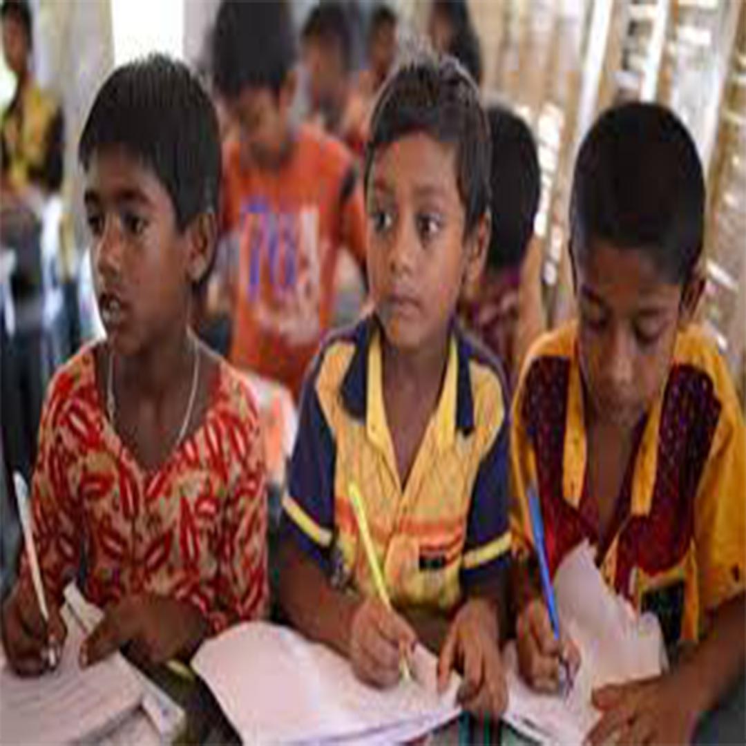 শিক্ষার্থী পড়াশোনা student life education study focus learning success guide