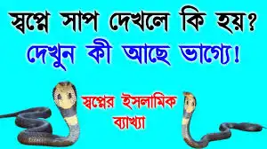স্বপ্নে সাপ দেখার অর্থ